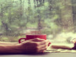 6 Best Monsoon Drinks to Keep You Warm and Healthy This Rainy Season