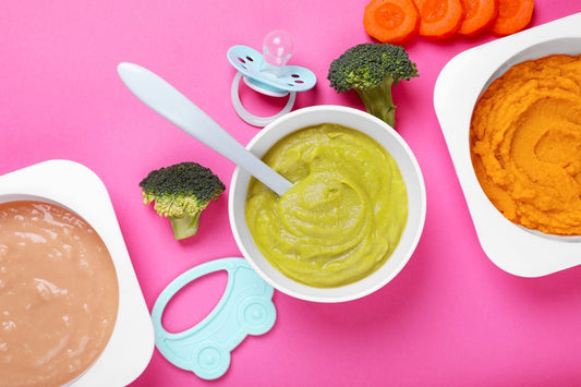 Homemade Baby Food Recipes with a Mixer Grinder