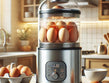 Is Electric Egg Boiler Good for Health?