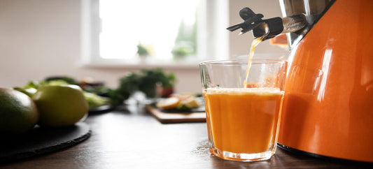 Ways to Use Your Slow Juicer Beyond Juice