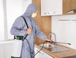 Tips for a Fresh and Pest-Free Kitchen