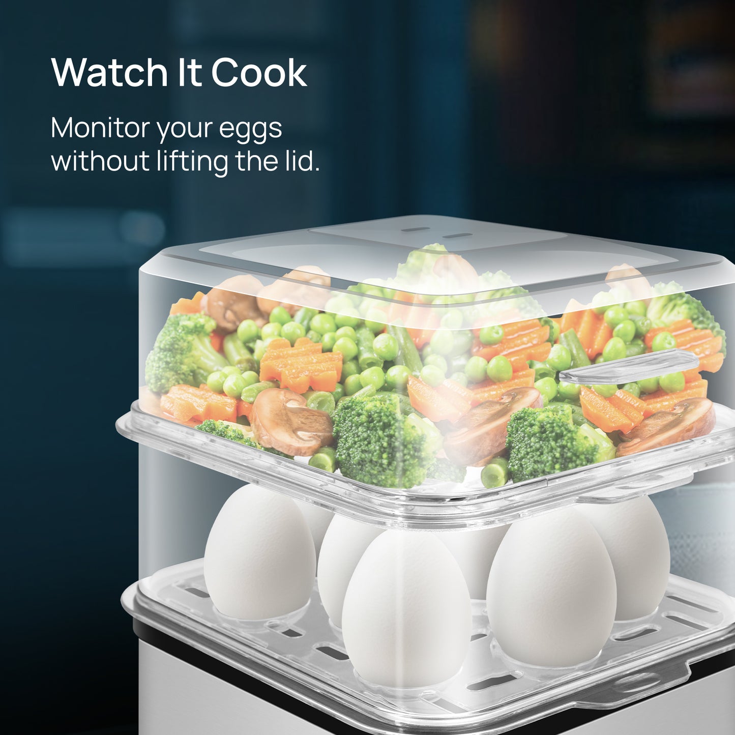 Wipro Elato BE201 4in1 Multicooker 500 Watt